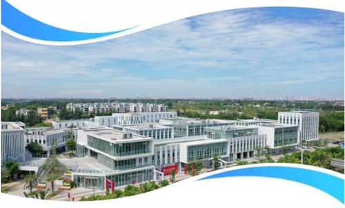 探訪海口江東新區企業港 年底計劃引入企業破百家，打造自貿港發展新引擎